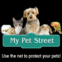 Use the net to recover your pet.
