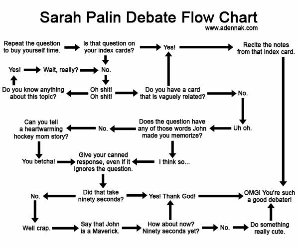 Palin's debate flow chart, when in trouble, wink!
