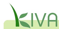 Kiva.org, eliminating poverty through global micro-loans
