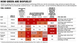 Biofuels probably aren't the answer to energy independence