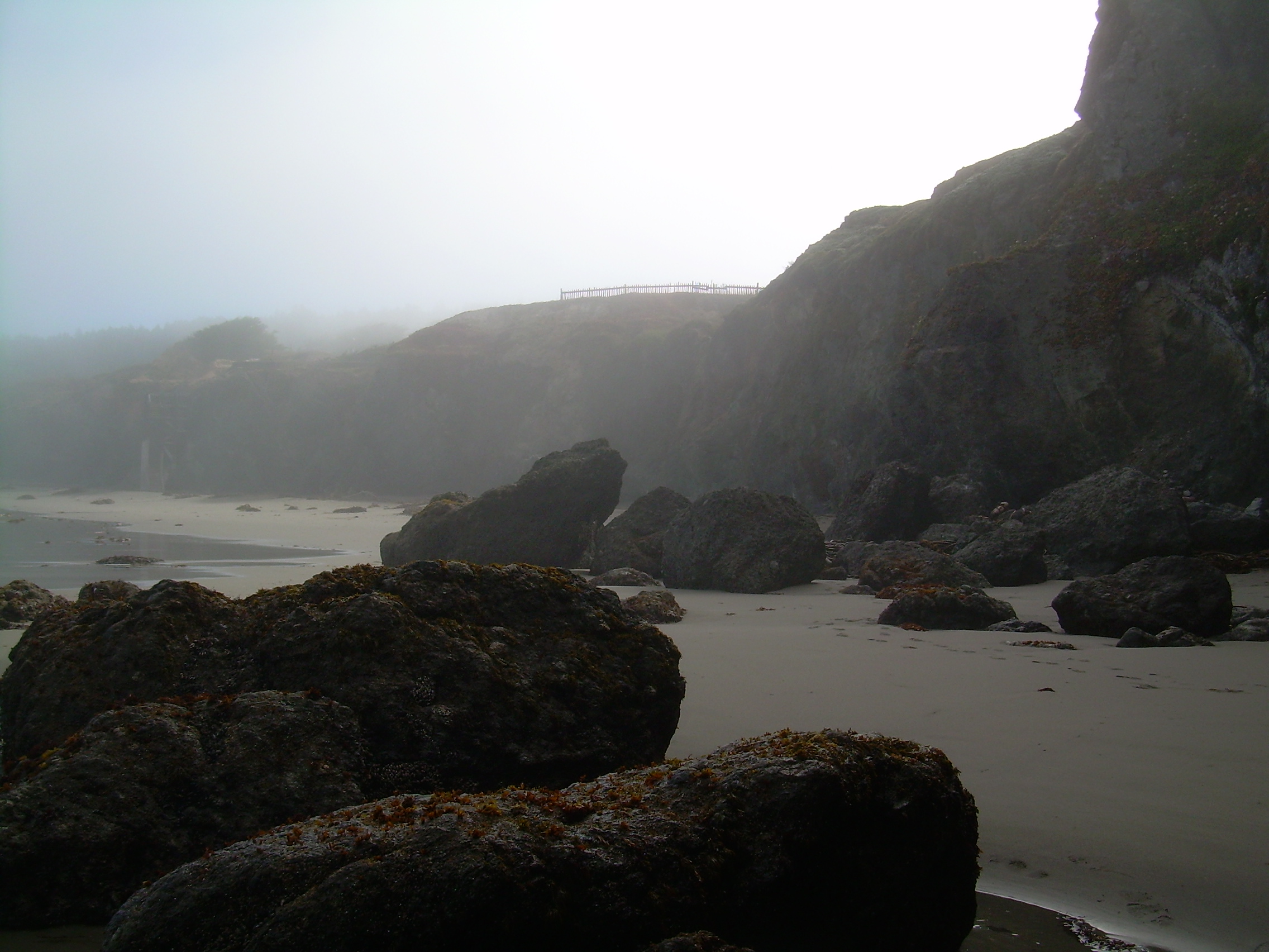 Black Point Beach, Sonoma County, California in the fog