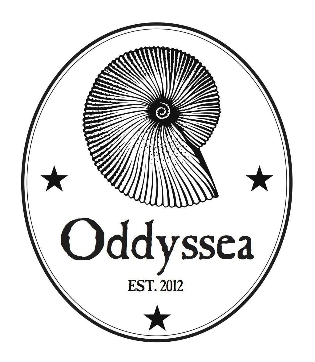 Oddyssea Half Moon Bay - Explore. Create. Discover.