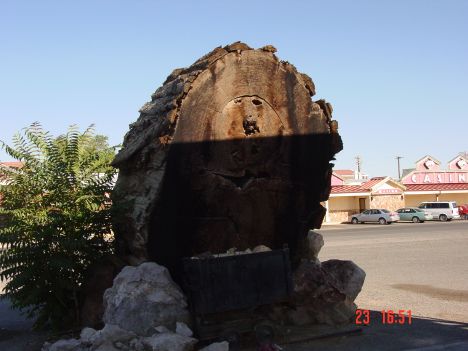 Big redwood tree slice in Lovelock, Nevada