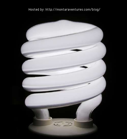 Compact Fluorescent Lightbulb