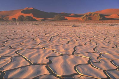 Dry desert in the sun.