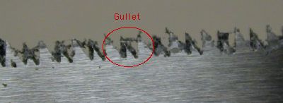 Gullets, the gaps in the saw blade between the teeth