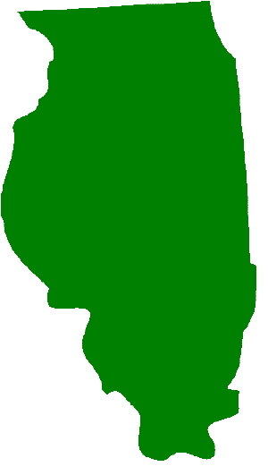 Illinois solid color state image